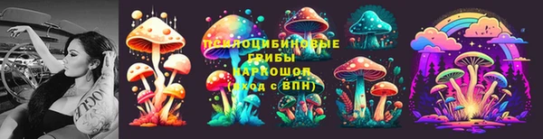 сатива Баксан