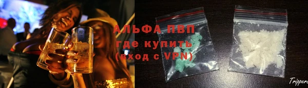 сатива Баксан