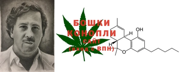 амф Балахна