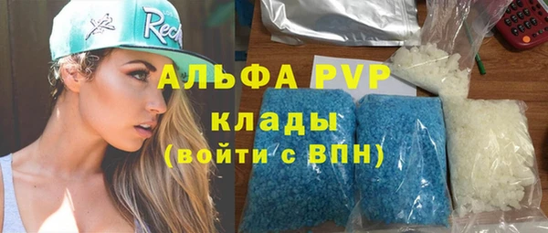 сатива Баксан