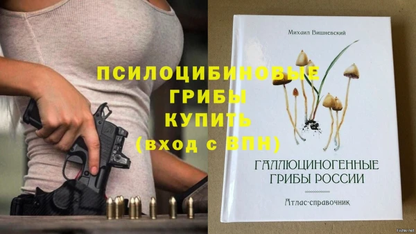амф Балахна