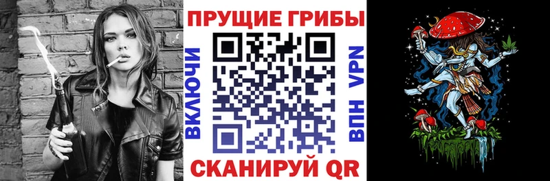 Псилоцибиновые грибы Psilocybe  Котельниково 